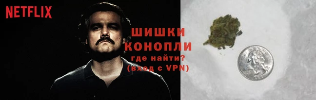 прущая мука Иннополис
